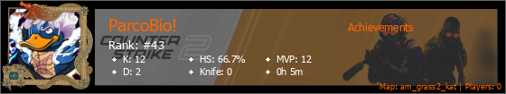 Player Banner