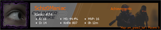 Player Banner