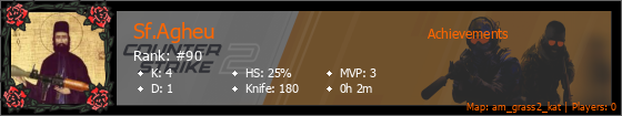 Player Banner