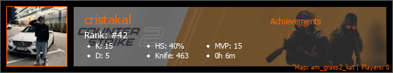 Player Banner
