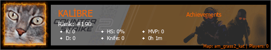 Player Banner
