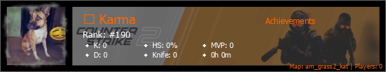 Player Banner