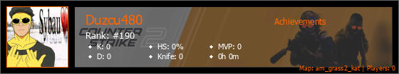 Player Banner