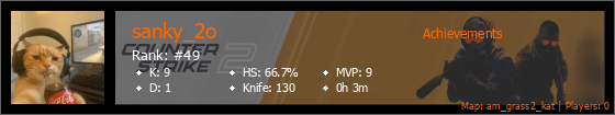 Player Banner