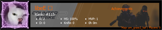 Player Banner