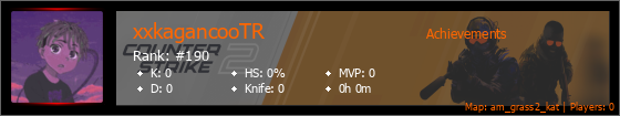 Player Banner