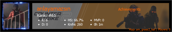 Player Banner