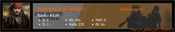 Player Banner