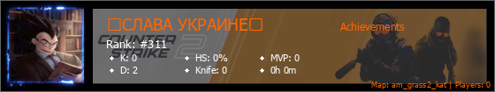 Player Banner