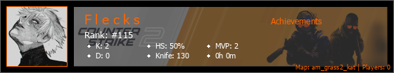 Player Banner