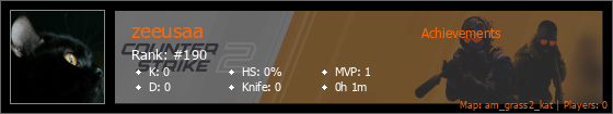 Player Banner