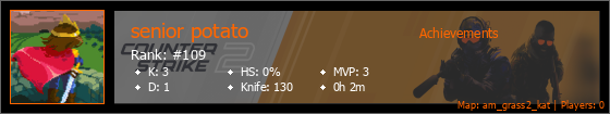 Player Banner
