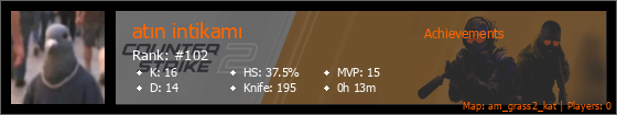 Player Banner