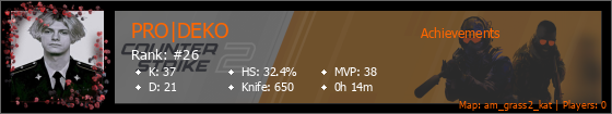Player Banner