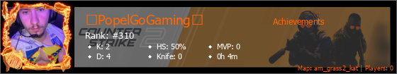 Player Banner