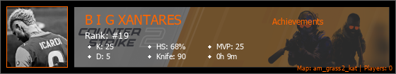 Player Banner
