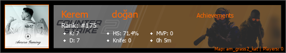 Player Banner